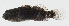  ( - GAM-226)  @11 [ ] CreativeCommons  Attribution Non-Commercial (by-nc) (2010) Unspecified Smithsonian Institution National Museum of Natural History