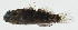  ( - GAM-227)  @11 [ ] CreativeCommons  Attribution Non-Commercial (by-nc) (2010) Unspecified Smithsonian Institution National Museum of Natural History