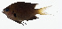  ( - GAM-401)  @11 [ ] CreativeCommons  Attribution Non-Commercial (by-nc) (2010) Unspecified Smithsonian Institution National Museum of Natural History