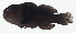  ( - GAM-623)  @11 [ ] CreativeCommons  Attribution Non-Commercial (by-nc) (2010) Unspecified Smithsonian Institution National Museum of Natural History