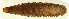  ( - MF1261_L)  @14 [ ] CreativeCommons - Attribution Non-Commercial Share-Alike (2017) Unspecified National Museum, Prague