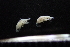  ( - HF23_04_02)  @11 [ ] Unspecified (default): All Rights Reserved  Unspecified Unspecified