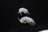  ( - HF23_04_05)  @11 [ ] Unspecified (default): All Rights Reserved  Unspecified Unspecified