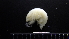  ( - HF23_09_03)  @11 [ ] Unspecified (default): All Rights Reserved  Unspecified Unspecified