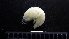  ( - HF23_09_04)  @11 [ ] Unspecified (default): All Rights Reserved  Unspecified Unspecified