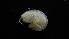  ( - HF23_09_05)  @11 [ ] Unspecified (default): All Rights Reserved  Unspecified Unspecified