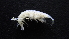  ( - HF23_14_01)  @11 [ ] Unspecified (default): All Rights Reserved  Unspecified Unspecified