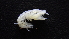  ( - HF23_14_02)  @11 [ ] Unspecified (default): All Rights Reserved  Unspecified Unspecified