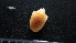  ( - HF23_17_02)  @11 [ ] Unspecified (default): All Rights Reserved  Unspecified Unspecified