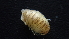  ( - HF23_17_03)  @11 [ ] Unspecified (default): All Rights Reserved  Unspecified Unspecified