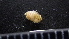  ( - HF23_17_04)  @11 [ ] Unspecified (default): All Rights Reserved  Unspecified Unspecified