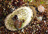  ( - CCDB-32336 E05)  @11 [ ] Unspecified (default): All Rights Reserved (2020) Peter J. Bryant University of California, Irvine