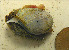  ( - CCDB-36354 E09)  @11 [ ] Unspecified (default): All Rights Reserved (2020) Peter J. Bryant University of California, Irvine