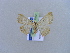  ( - BC ZSM Lep 10501)  @13 [ ] CreativeCommons - Attribution Non-Commercial Share-Alike (2010) Unspecified SNSB, Zoologische Staatssammlung Muenchen