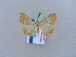  ( - BC ZSM Lep 10599)  @13 [ ] CreativeCommons - Attribution Non-Commercial Share-Alike (2010) Unspecified SNSB, Zoologische Staatssammlung Muenchen