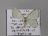  ( - BC ZSM Lep 01893)  @12 [ ] CreativeCommons - Attribution Non-Commercial Share-Alike (2010) Unspecified SNSB, Zoologische Staatssammlung Muenchen
