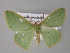  ( - BC ZSM Lep 10811)  @13 [ ] CreativeCommons - Attribution Non-Commercial Share-Alike (2010) Unspecified SNSB, Zoologische Staatssammlung Muenchen