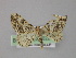  ( - BC ZSM Lep 02217)  @13 [ ] CreativeCommons - Attribution Non-Commercial Share-Alike (2010) Unspecified SNSB, Zoologische Staatssammlung Muenchen