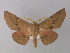  ( - BC ZSM Lep 10791)  @14 [ ] CreativeCommons - Attribution Non-Commercial Share-Alike (2010) Unspecified SNSB, Zoologische Staatssammlung Muenchen