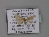  ( - BC ZSM Lep 01914)  @13 [ ] CreativeCommons - Attribution Non-Commercial Share-Alike (2010) Unspecified SNSB, Zoologische Staatssammlung Muenchen