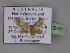  (Idaea AH14 - BC ZSM Lep 02451)  @13 [ ] CreativeCommons - Attribution Non-Commercial Share-Alike (2010) Unspecified SNSB, Zoologische Staatssammlung Muenchen