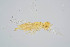  (Centrodora - BC-ZSM-HYM-20769-H08)  @13 [ ] CreativeCommons - Attribution Non-Commercial Share-Alike (2014) Stefan Schmidt SNSB, Zoologische Staatssammlung Muenchen