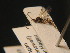  ( - BC ZSM HYM 16274)  @12 [ ] CreativeCommons - Attribution Non-Commercial Share-Alike (2015) Unspecified SNSB, Zoologische Staatssammlung Muenchen
