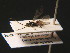  ( - BC ZSM HYM 16296)  @11 [ ] CreativeCommons - Attribution Non-Commercial Share-Alike (2015) Unspecified SNSB, Zoologische Staatssammlung Muenchen