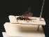  ( - BC ZSM HYM 16297)  @12 [ ] CreativeCommons - Attribution Non-Commercial Share-Alike (2015) Unspecified SNSB, Zoologische Staatssammlung Muenchen