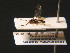  ( - BC ZSM HYM 16308)  @11 [ ] CreativeCommons - Attribution Non-Commercial Share-Alike (2015) Unspecified SNSB, Zoologische Staatssammlung Muenchen