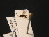  ( - BC ZSM HYM 16322)  @11 [ ] CreativeCommons - Attribution Non-Commercial Share-Alike (2015) Unspecified SNSB, Zoologische Staatssammlung Muenchen