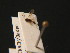  ( - BC ZSM HYM 16323)  @11 [ ] CreativeCommons - Attribution Non-Commercial Share-Alike (2015) Unspecified SNSB, Zoologische Staatssammlung Muenchen
