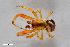  ( - ZFMK-TIS-2016)  @11 [ ] CreativeCommons  Attribution Share-Alike (by-sa) 818 (2013) Unspecified Zoologisches Forschungsmuseum Alexander Koenig