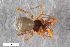  ( - ZFMK-TIS-2581093)  @11 [ ] CreativeCommons  Attribution Share-Alike (by-sa) 818 (2016) Unspecified Zoologisches Forschungsmuseum Alexander Koenig