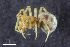  ( - ZFMK-TIS-2583800)  @11 [ ] CreativeCommons  Attribution Share-Alike (by-sa) 818 (2016) Unspecified Zoologisches Forschungsmuseum Alexander Koenig
