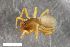  ( - ZFMK-TIS-2588308)  @11 [ ] CreativeCommons  Attribution Share-Alike (by-sa) 818 (2017) Unspecified Zoologisches Forschungsmuseum Alexander Koenig
