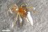  ( - ZFMK-TIS-2601547)  @11 [ ] CreativeCommons  Attribution Share-Alike (by-sa) 818 (2017) Unspecified Zoologisches Forschungsmuseum Alexander Koenig