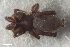  ( - ZFMK-TIS-2602073)  @11 [ ] CreativeCommons  Attribution Share-Alike (by-sa) 818 (2017) Unspecified Zoologisches Forschungsmuseum Alexander Koenig