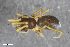  ( - ZFMK-TIS-2618667)  @11 [ ] CreativeCommons  Attribution Share-Alike (by-sa) 818 (2018) Unspecified Zoologisches Forschungsmuseum Alexander Koenig