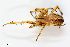  ( - ZFMK-TIS-7023)  @11 [ ] CreativeCommons  Attribution Share-Alike (by-sa) 818 (2013) Unspecified Zoologisches Forschungsmuseum Alexander Koenig