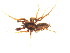  ( - CNC-ARACH-000042-01)  @11 [ ] Unspecified (default): All Rights Reserved  Unspecified Unspecified