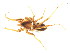  ( - CNC-ARACH-000042-02)  @11 [ ] Unspecified (default): All Rights Reserved  Unspecified Unspecified