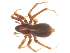  ( - CNC-ARACH-000043-02)  @11 [ ] Unspecified (default): All Rights Reserved  Unspecified Unspecified