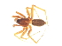  ( - CNC-ARACH-000044-01)  @11 [ ] Unspecified (default): All Rights Reserved  Unspecified Unspecified