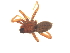  ( - CNC-ARACH-000045-01)  @11 [ ] Unspecified (default): All Rights Reserved  Unspecified Unspecified