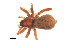  ( - CNC-ARACH-000045-02)  @11 [ ] Unspecified (default): All Rights Reserved  Unspecified Unspecified