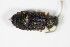  ( - GBOL_Col_FK_0700)  @12 [ ] CreativeCommons - Attribution Non-Commercial Share-Alike (2015) Unspecified SNSB, Zoologische Staatssammlung Muenchen