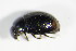  ( - GBOL_Col_FK_0210)  @12 [ ] CreativeCommons - Attribution Non-Commercial Share-Alike (2015) Unspecified SNSB, Zoologische Staatssammlung Muenchen