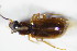  ( - GBOL_Col_FK_0354)  @11 [ ] CreativeCommons - Attribution Non-Commercial Share-Alike (2015) Unspecified SNSB, Zoologische Staatssammlung Muenchen