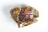  ( - GBOL_Col_FK_1050)  @11 [ ] CreativeCommons - Attribution Non-Commercial Share-Alike (2015) Unspecified SNSB, Zoologische Staatssammlung Muenchen